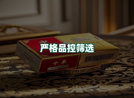 核心优势